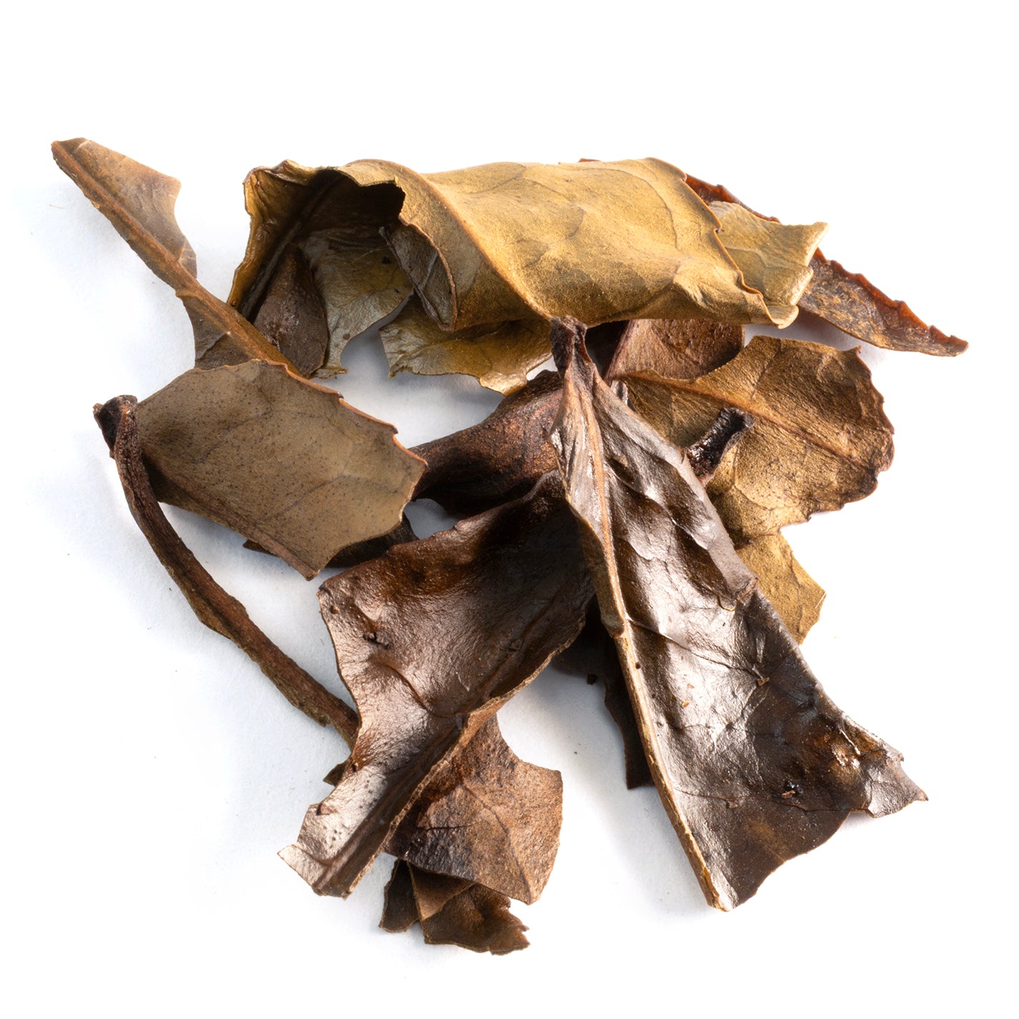 Feuilles d'Automne à Kyoto