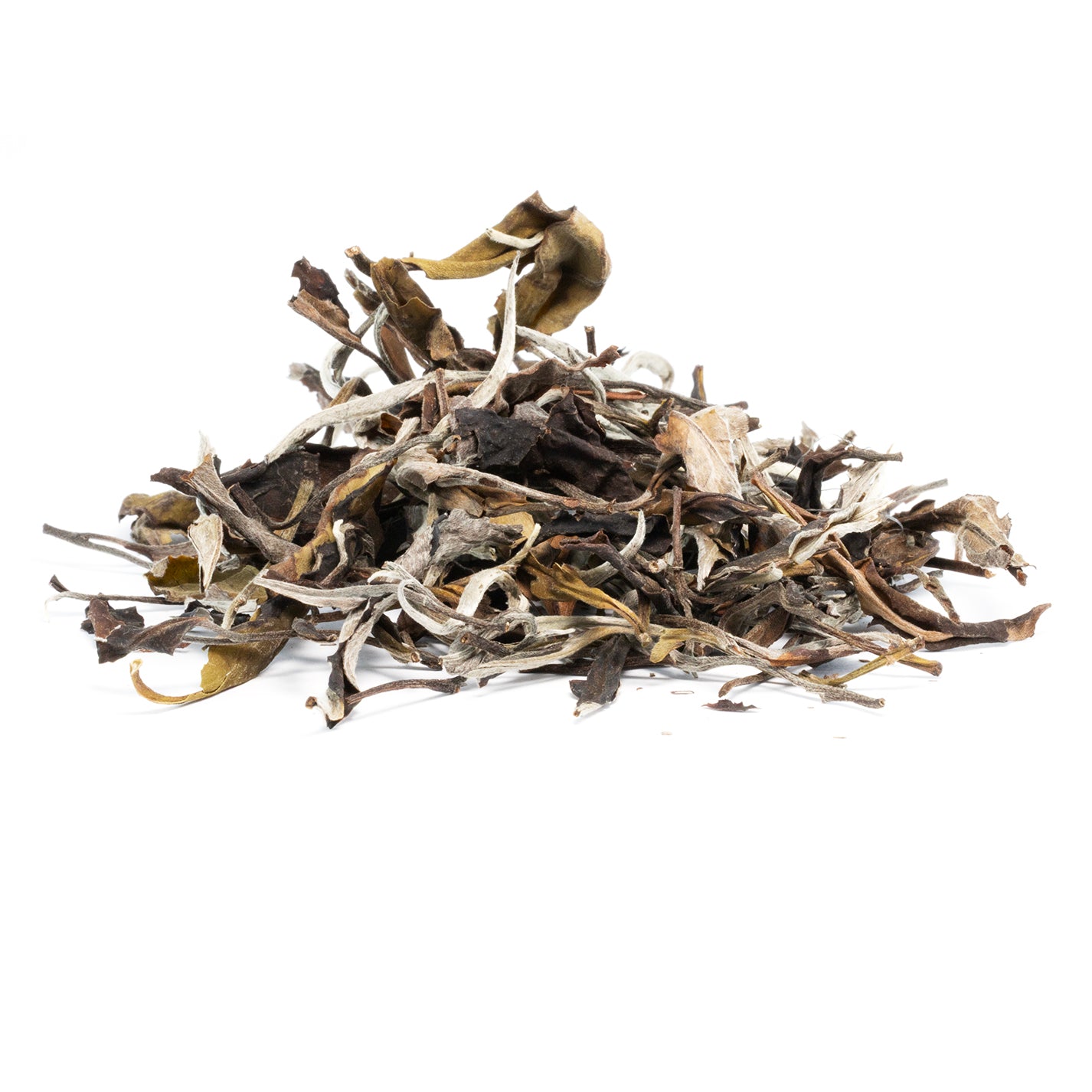 Éveil de la Montagne